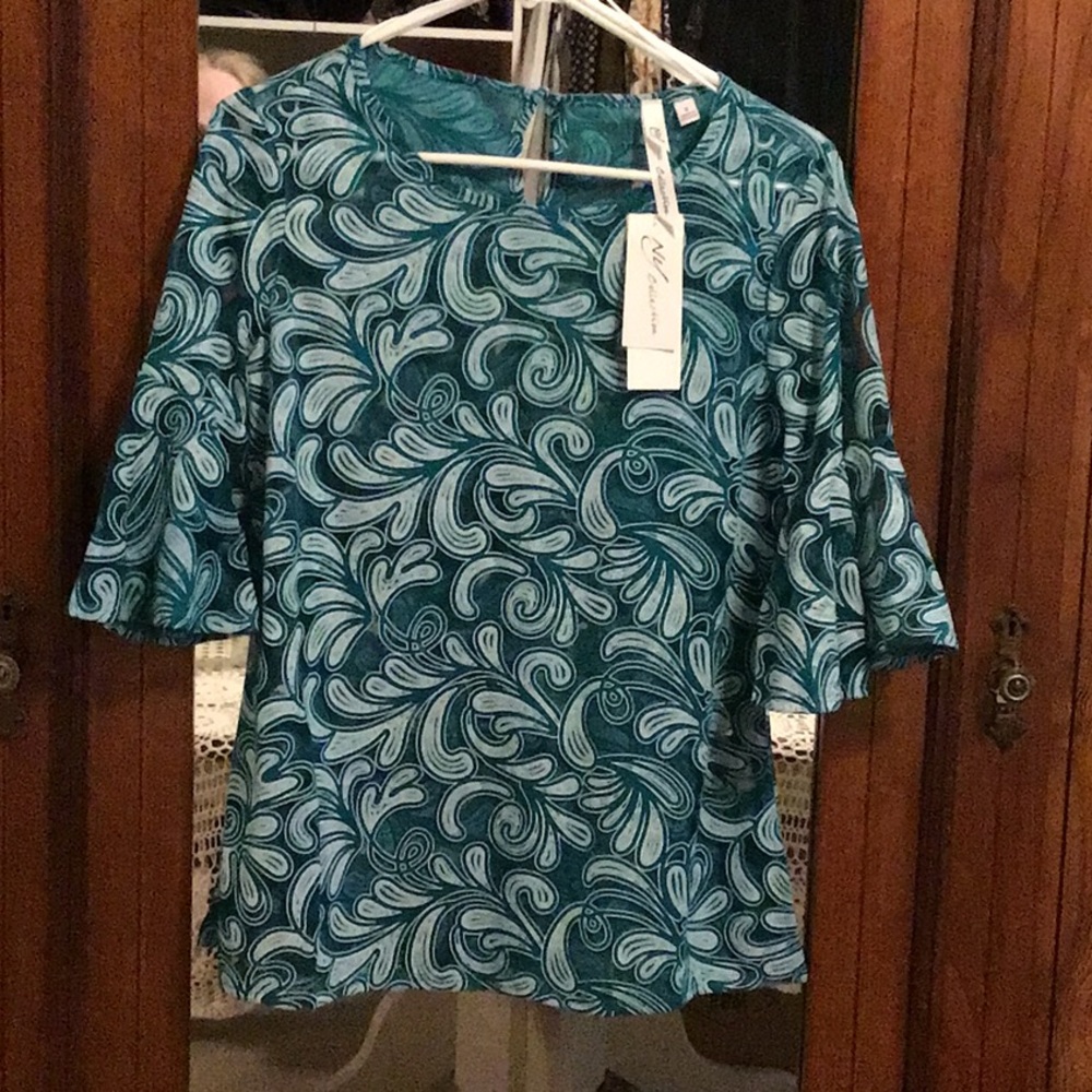 Ladies sheer dressy top